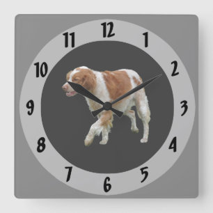 Brittany Spaniel Square Wall Clock