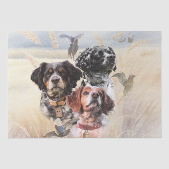 Brittany Spaniel Tissue Paper (Front)