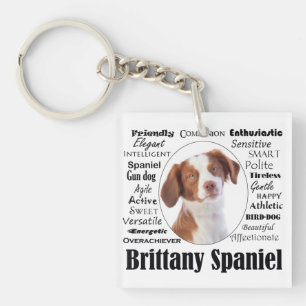 Brittany Spaniel Traits Key Ring