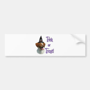 Brittany Spaniel Trick Bumper Sticker