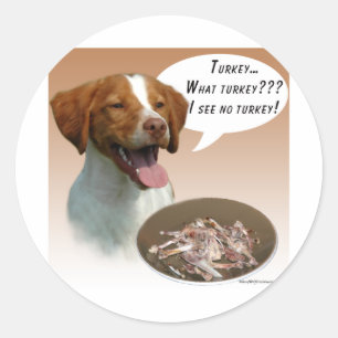 Brittany Spaniel Turkey Classic Round Sticker