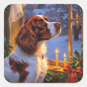 Brittany Spaniel with Christmas Lights Holiday Square Sticker