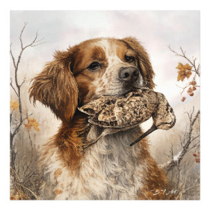 Brittany Spaniel & Woodcock Hunt Photo Print