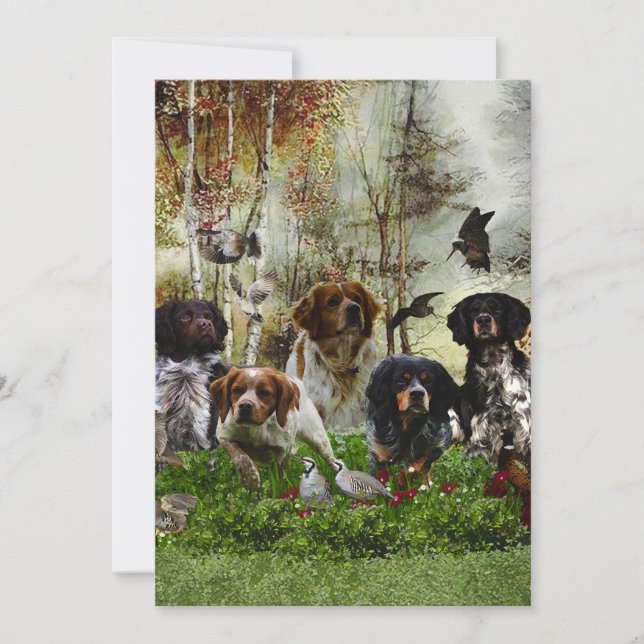  Brittany Spaniels,   Bird Hunting   Invitation (Front)