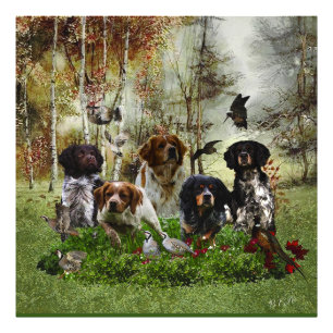  Brittany Spaniels,   Bird Hunting     Photo Print