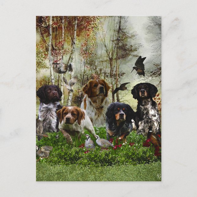  Brittany Spaniels,   Bird Hunting   Postcard (Front)