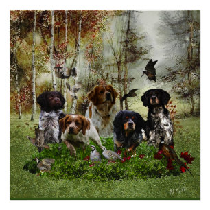  Brittany Spaniels,   Bird Hunting  Poster