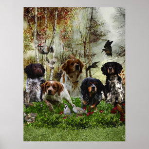  Brittany Spaniels,   Bird Hunting  Poster