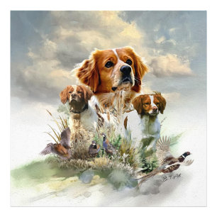 Brittany Spaniels , French Brittany , Bird dog Photo Print