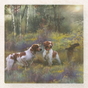 Brittany Spaniels,  Woodcock Hunting , Art  Glass Coaster