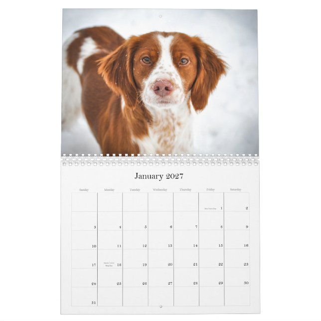 Brittanys Calendar (Jan 2027)
