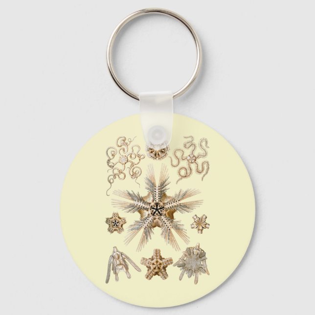 Brittle stars key ring (Front)