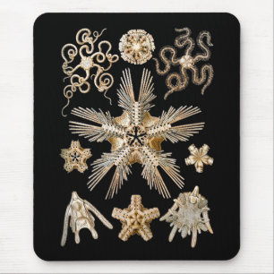 Brittle stars mouse mat