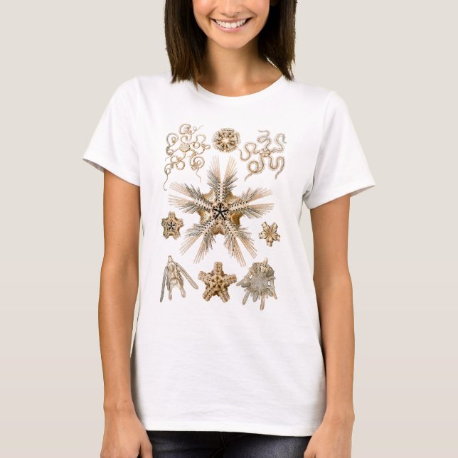 Brittle stars T-Shirt (Front)