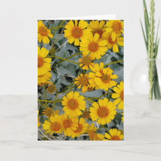 Brittlebush Flowers Greeting Card_customizable Card