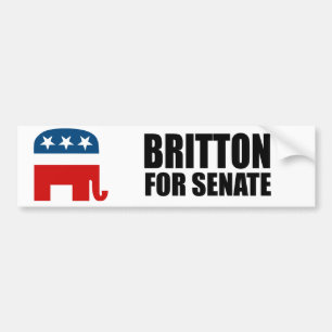 BRITTON 2010 BUMPER STICKER