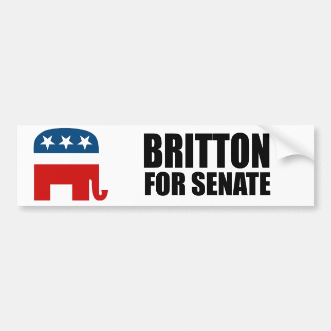 BRITTON 2010 BUMPER STICKER (Front)