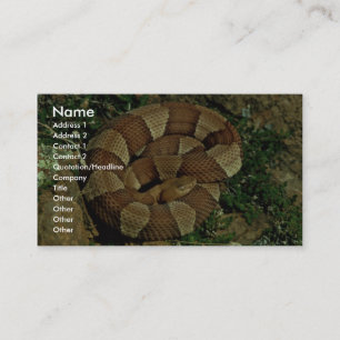 Broad-banded copperhead business card