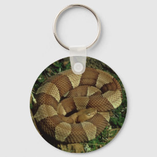 broad-banded copperhead snake keychain