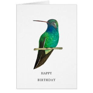 Broad-billed Hummingbird Birthday Card
