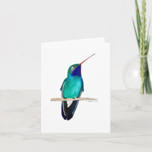 Broad-billed Hummingbird Card