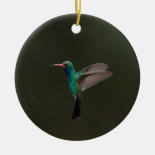 Broad-billed hummingbird in flight ceramic tree decoration
