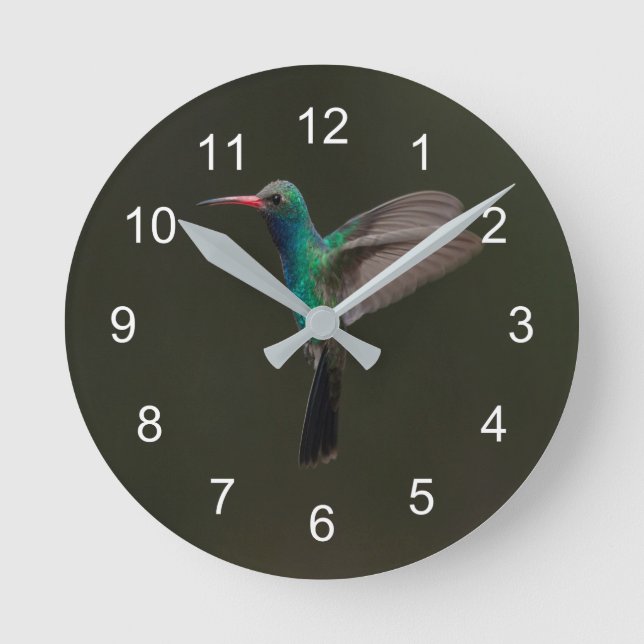 Broad-Billed Hummingbird in flight Round Clock (Front)