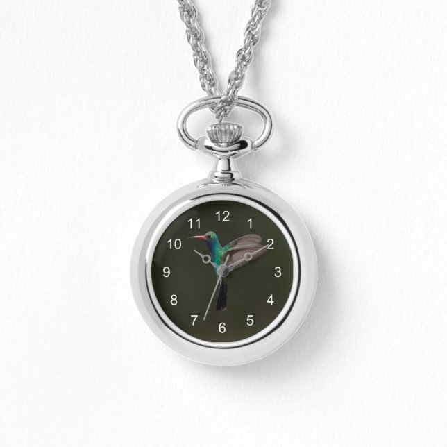 Broad-Billed Hummingbird in flight Watch (Front)