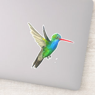 Broad-Billed Hummingbird Watercolor Painting Art