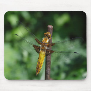 Broad-bodied Chaser Mouse Mat