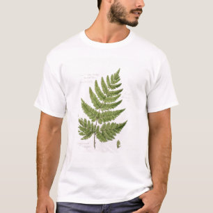 Broad Prickly-toothed Buckler Fern, painted at Bra T-Shirt