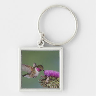 Broad-tailed Hummingbird, Selasphorus Key Ring