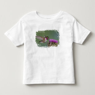 Broad-tailed Hummingbird, Selasphorus Toddler T-Shirt