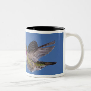 Broad-tailed Hummingbird, Selasphorus Two-Tone Coffee Mug