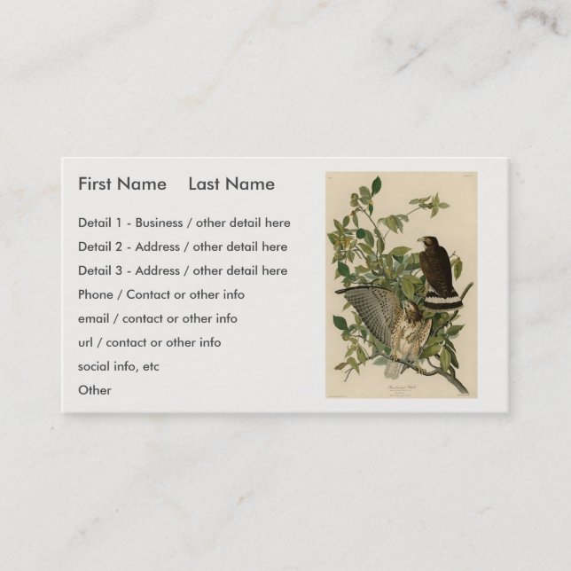 Broad-winged Hawk from Audubon's Birds of America Business Card (Front)