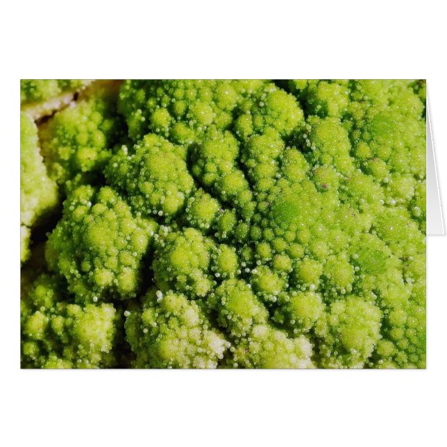 Brocco Flower Vegetable (Front Horizontal)