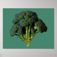 Broccoli 14" x 11", Value Poster Paper (Matte)