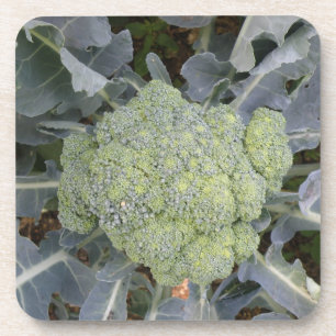 Broccoli Cork Coaster
