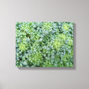 Broccoli Macro Canvas Print