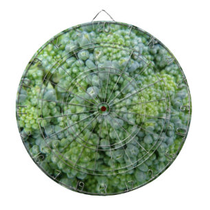 Broccoli Macro Dart Board