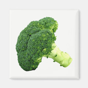 Broccoli Magnet