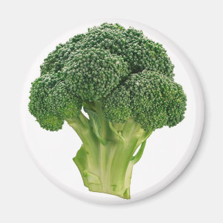 Broccoli Magnet