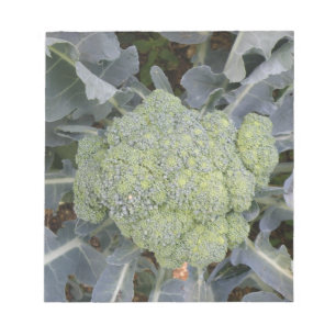 Broccoli Notepad
