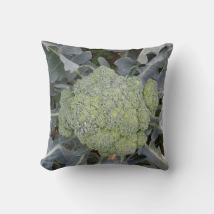Broccoli Pillow