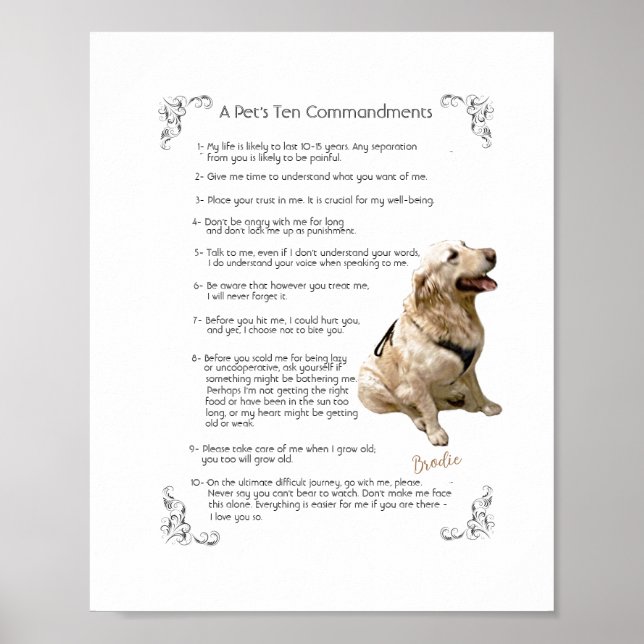 BRODIE  -    Poster (Front)