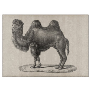 Brodtmann Camel Sketch Cutting Board