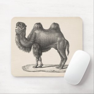 Brodtmann Camel Sketch Mouse Mat
