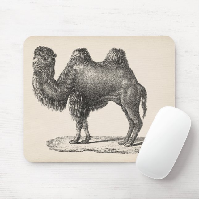 Brodtmann Camel Sketch Mouse Mat (With Mouse)