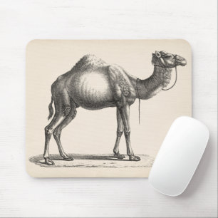 Brodtmann Dromedary Camel Sketch Mouse Mat