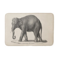 Brodtmann Elephant Sketch